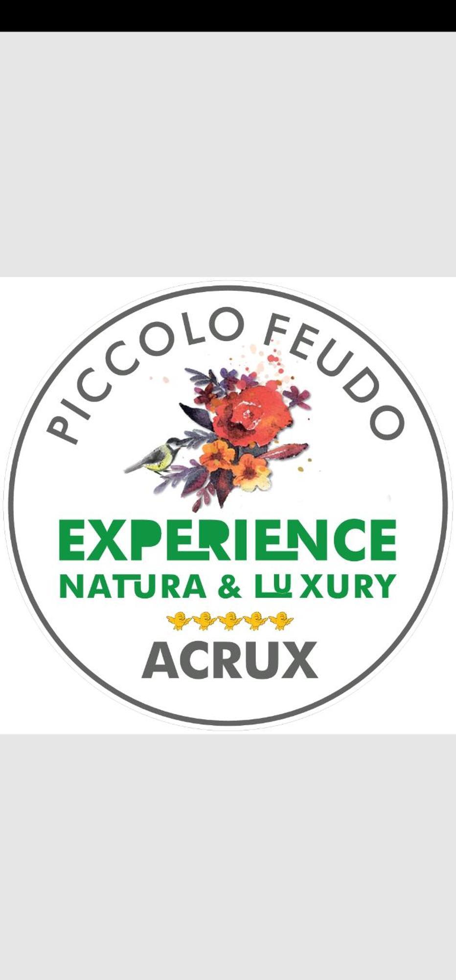 Piccolo Feudo Green Resort (Adults Only) Viterbo Cameră foto